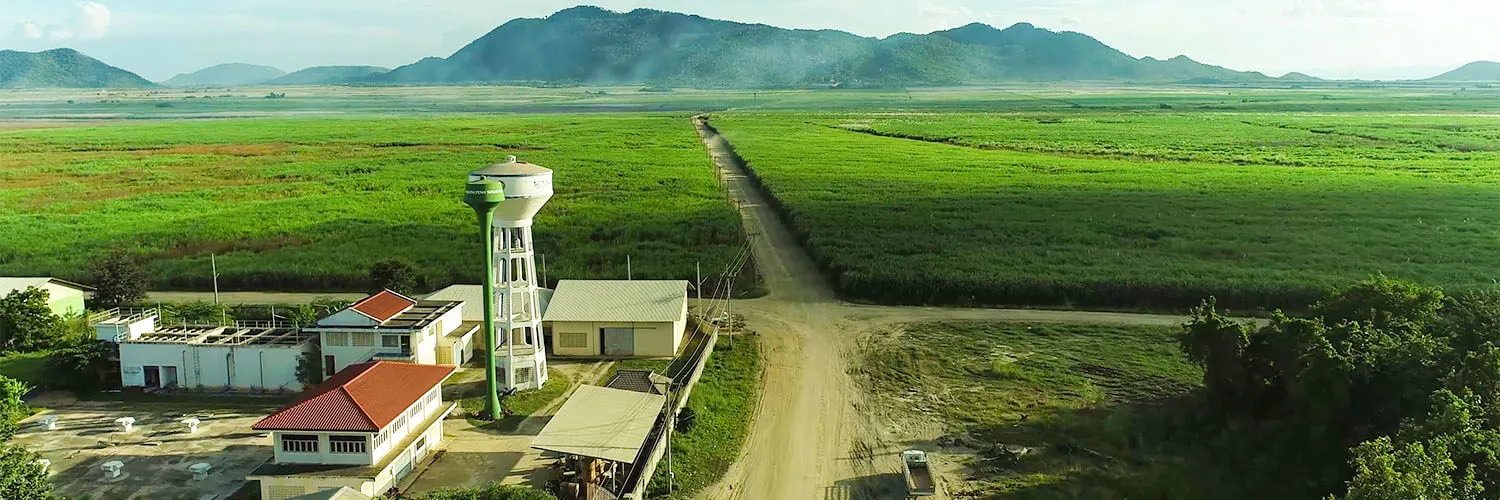 Sugarcane plantation aerial overview